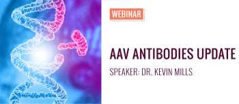 AAV Antibodies Update