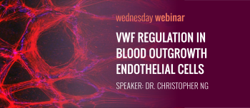 VWF Regulation in Blood Outgrowth Endothelial Cells